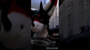 фурри из лайка фури не мой у мен нету фурри