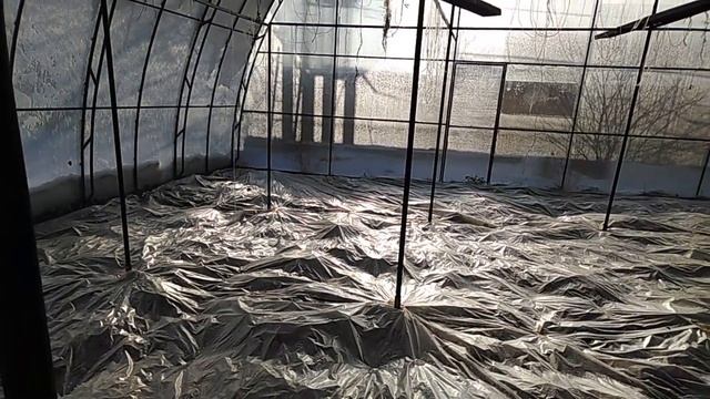 Укрытие винограда в теплице смотреть онлайн