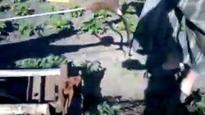 дисковый  окучник