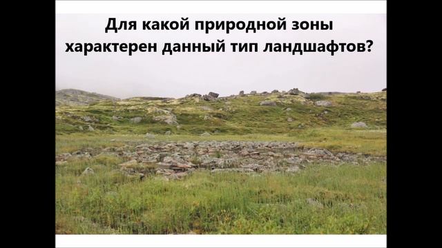 Для какой природной зоны характерен данный тип ландшафтов смотреть онлайн