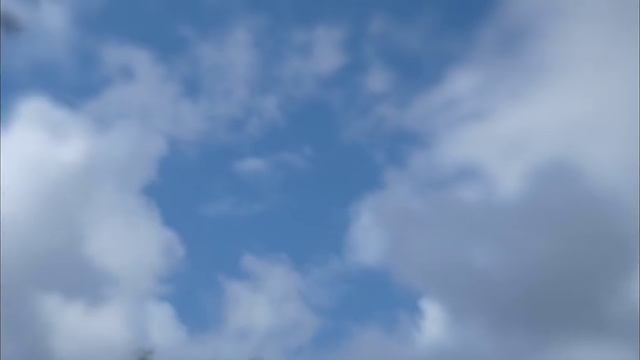 Выставка Союза Бирюзовых художников смотреть онлайн