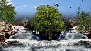 Поздравление от родителей на свадьбу. Сайд-шоу