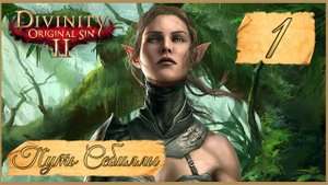Divinity: Original Sin II ★ 1: Заточение