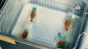 #18 - Адаптер прочистки форсунок