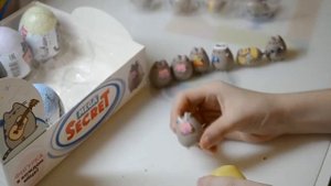 Распаковка шоколадных яиц Pusheen