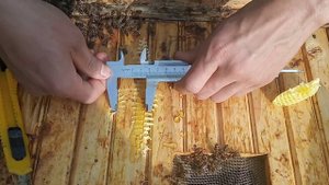 Ширина улочки в пчелином гнезде