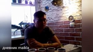 Как вырастить здоровую и крепкую рассаду/Что нужно учитывать при выращивании рассады