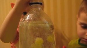 Виноград в газировке Експеримент для детей Grapes in soda (Dancing Grapes)Cool experiment