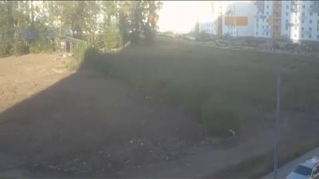 30 08 2015 Мытищи 25А мкр Очищенная площадка перед 34 корусом смотреть онлайн