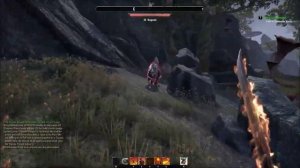 The Elder Scrolls Online - First Person Gameplay - The Naked Nord