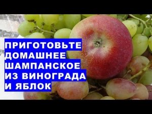 Приготовьте домашнее шампанское из винограда и яблок. Напиток вкуснее и полезнее магазинного вина