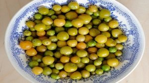 Варенье из физалиса земляничного