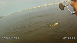 Ловля жереха на стикбейты. Asp Fishing