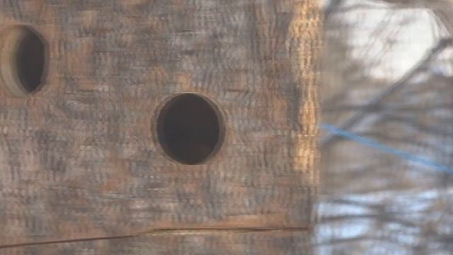 Баргузинский соболь смотреть онлайн