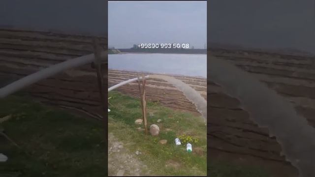 Shimge7,5 kvt nasos, glubinniy. Videoda qisqa obzor keltirdik. Baho bering! Tel: +998909935008 смотреть онлайн