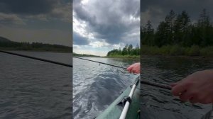 Сплав по реке Чульман  в Якутии. Июнь 2024 года