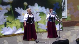 Дуэт «Крушина» / песня «СОЛОВЕЙ» (из репертуара ВИА «Крапива»)