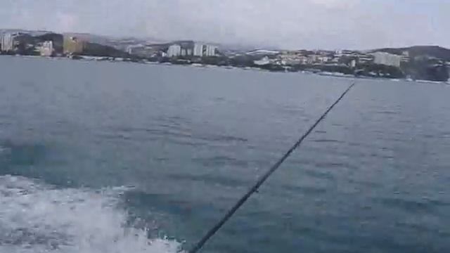 Рыбалка в сочи 2011 ч.5 смотреть онлайн