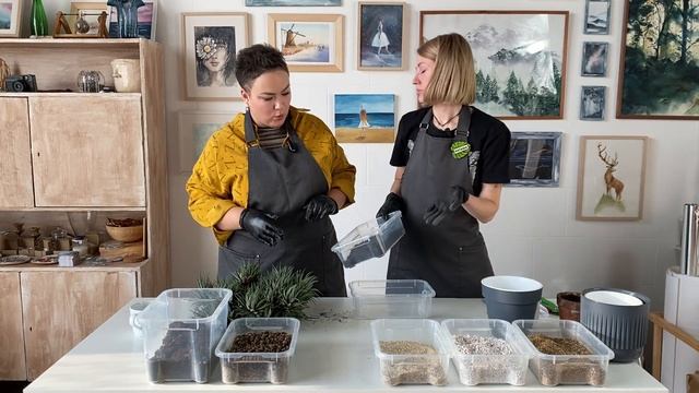 Пересадочное шоу "Фикус, привет!", 2 выпуск. Пересадка бабушкиной хавортии смотреть онлайн