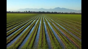 Озеро Балхаш погибает.#балхашпогибаеет#озеробалхаш