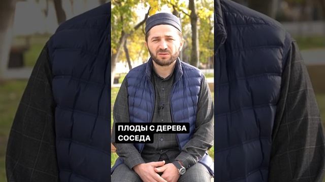 Можно ли есть плоды с дерева соседа, если его ветки свисают в мой огород?