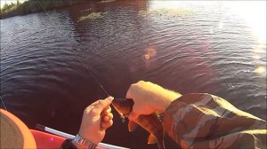 Lucky Craft Flash Minnow 80SP