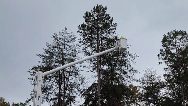 КАК В АМЕРИКЕ ВАЛЯТ ДЕРЕВЬЯ // 1-Я ЧАСТЬ смотреть онлайн