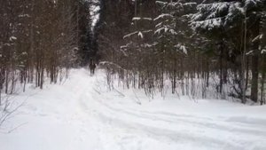 Карьер на лошади