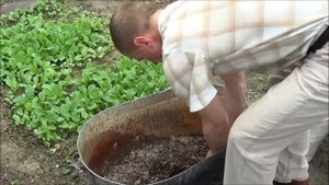 Эко3 Огурцы под Биогумус. Посев семян. Андрей Ткаченко