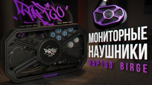 Внутриканальные мониторы RAPTGO BIRGE - Обзор