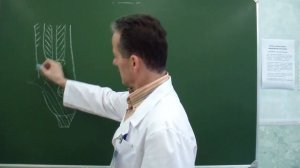 Пластика передней стенки пахового канала по Жирару