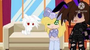 Bunny bunny bunny, you're so funny