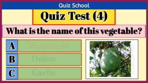 quiz | quiz test for everyone | quiz test | entertainment with quiz