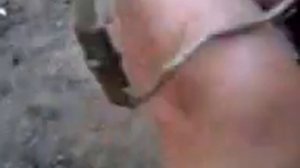 конденсатори на яву