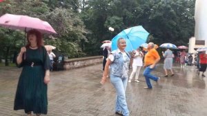 Малинки."АВАРИЯ. "В Гомельском парке. 25.06.2023.