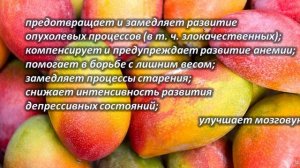 МАНГО – польза и вред!