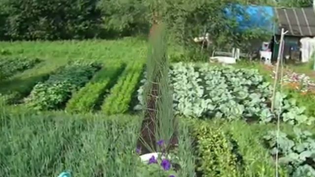 Как сделать красивый огород на даче  Ландшафтный дизайн