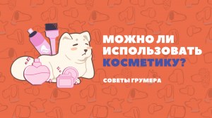 Духи для собак и окрашивание шерсти - вредно ли это для вашего питомца? Советы грумера.