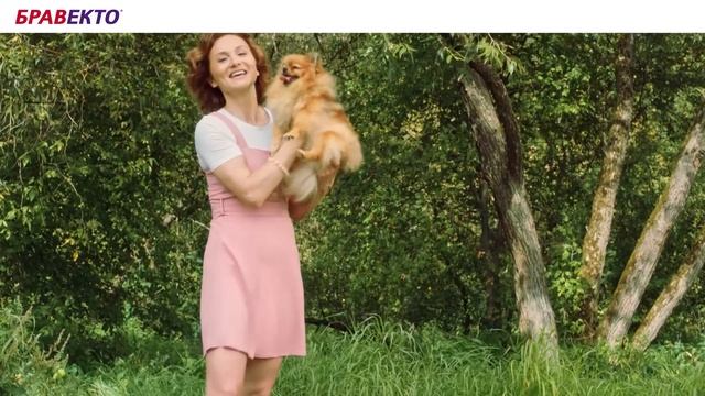 Бравекто смотреть онлайн