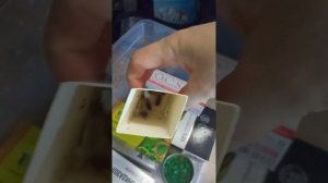 туркменские тараканы сегодня. содержание