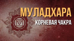 1 чакра Муладхара. За что отвечает чакра Муладхара? Где находится корневая чакра Муладхара?