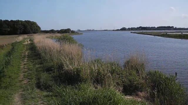 FUJIFILM FinePix AX660 動画撮影テスト その4 смотреть онлайн