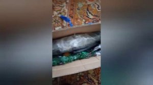 Разборка и упаковка искусственной ёлки.