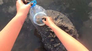 ШОК ?Самая лучшая морская приманка . Как копать морского червя руками ?