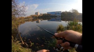 Осенняя щука на р Петрица