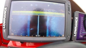 как показывает рыбу эхолот на примере LOWRANCE ELITE TI 2 12 и FS9 с датчиком ActiveTarget Live,