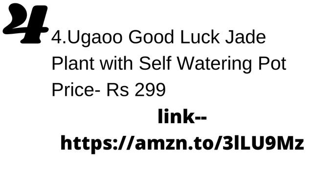 Good Luck Plants