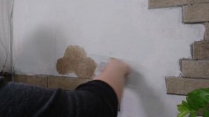 Жидкие обои BIOPLAST - разведение и нанесение, подойдут ли жидкие обои под наш дизайн?