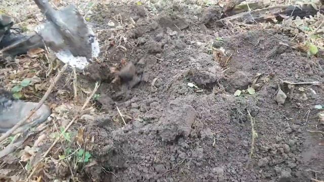 Мастер-класс по поиску металлолома от 