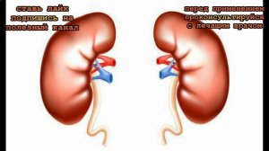 Древняя китайская методика для оздоровления почек